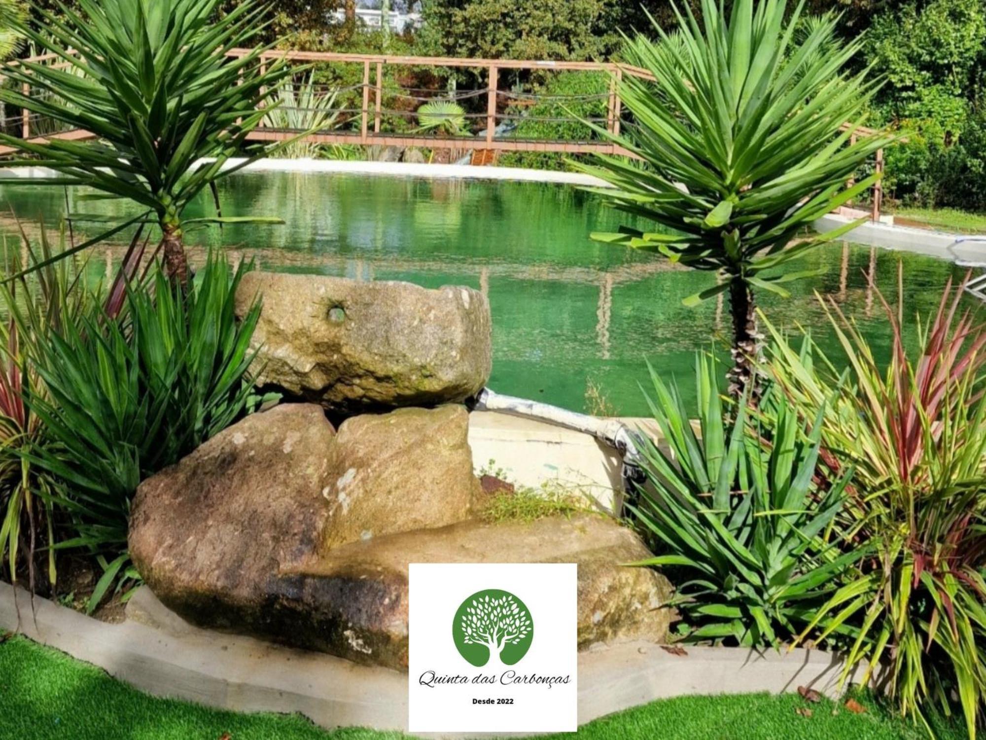 Quinta Das Carboncas Fafe Extérieur photo